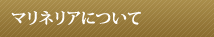 マリネリアについて